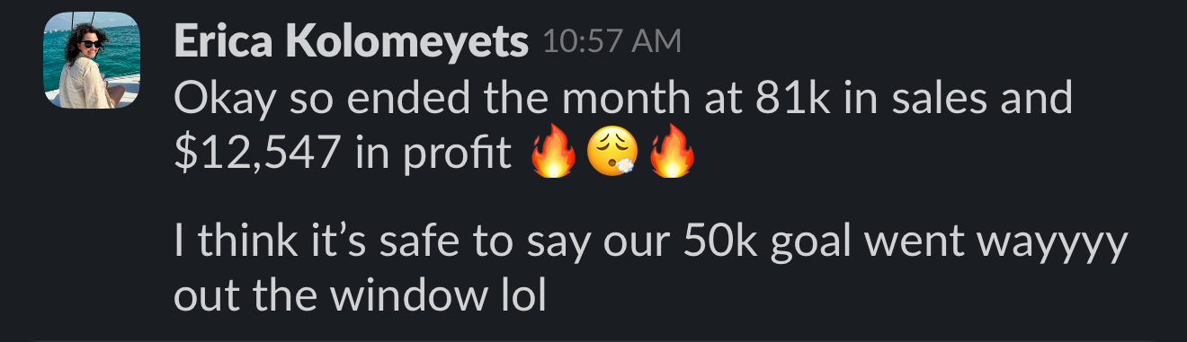Erica — $81k in sales and $12,547 profit in one month